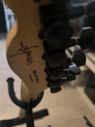 Guitarra Eléctrica Telecaster Jim Root