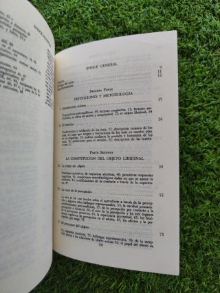 El primer año de vida del niño