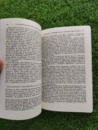 El primer año de vida del niño