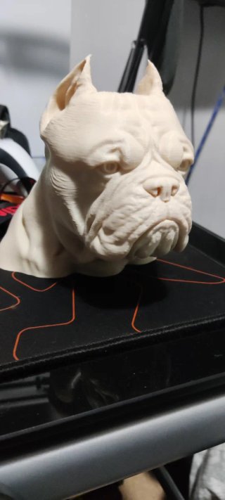 Bustos de mascotas personalizados