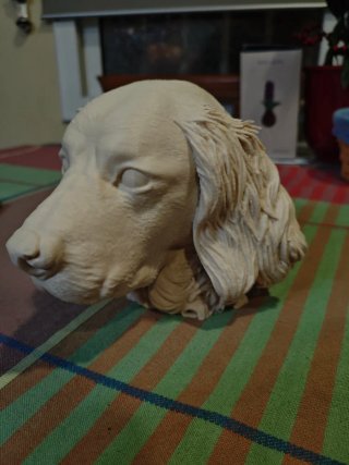 Bustos de mascotas personalizados