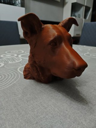 Bustos de mascotas personalizados