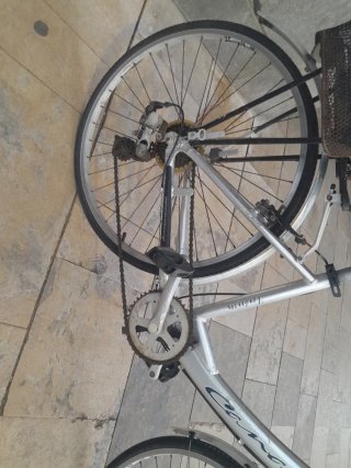 Bicicleta Paseo CONOR Plata