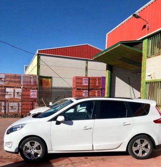 Renault Grand Scenic 2010