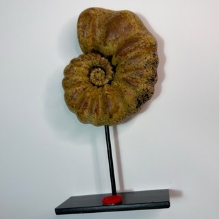 Réplica Amonite Ocre