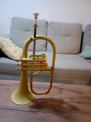 Fliscorno Thomann