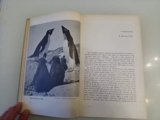 L'esplorazione dell'Antartide di Zavatti UTET 1958