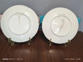 2 Platos Decorativos Vintage NATURALEZA CASAS