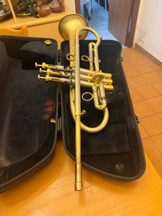 Trompeta Custom con Estuche