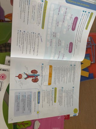 CONEIXEMENT DEL MEDI 5 PRIMARIA CONSTRUINT MONS