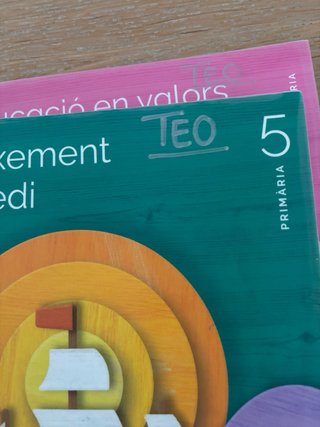 CONEIXEMENT DEL MEDI 5 PRIMARIA CONSTRUINT MONS