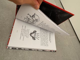 Il libro segreto di Robin Hood - Crovi Luca,