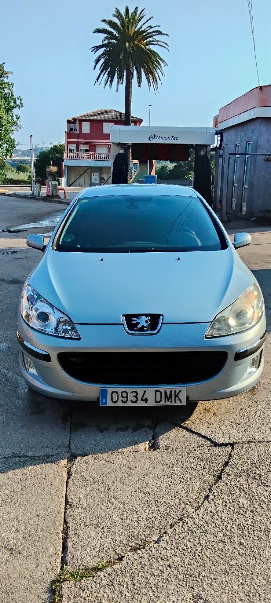 Peugeot 407 2005 - foto 1