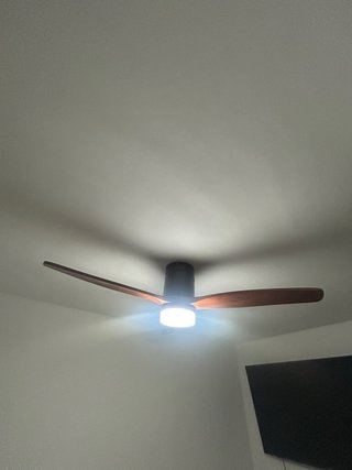 Manitas a domicilio