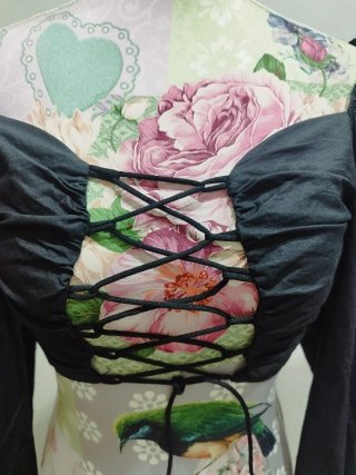 Crop top / Corsé mangas abullonadas.