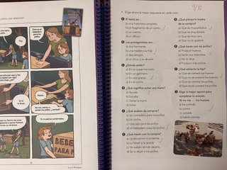 Primaria Lengua Formula Practica4 en accion ANAYA