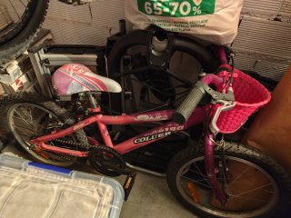 Bicicleta per bambini ragazza 14 COLUER
