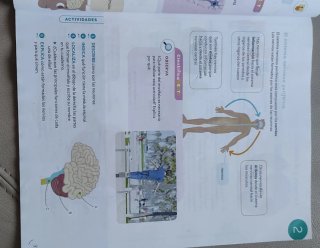 Conocimiento del medio, 5 Primaria