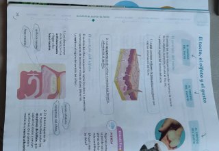 Conocimiento del medio, 5 Primaria