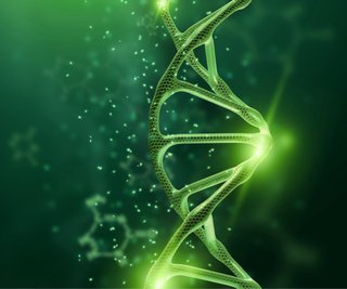 Preparador oposiciones Biología y Geología