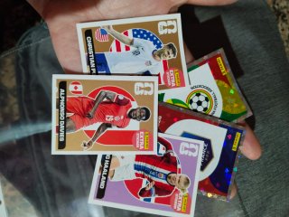 Cromos Extra FIFA Panini