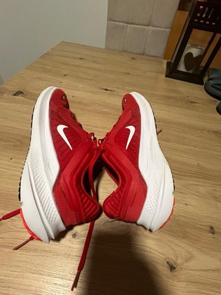 Zapatillas Nike Quest Rojo/Blanco