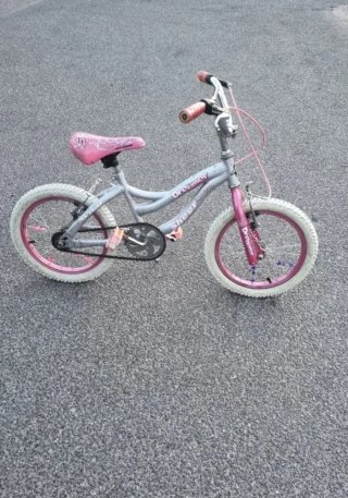 Bicicleta Infantil Schwinn 20