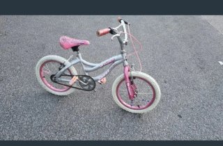Bicicleta Infantil Schwinn 20