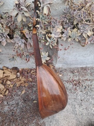 Mandolina F. De Mureda