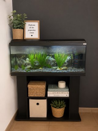 Acuario Negro