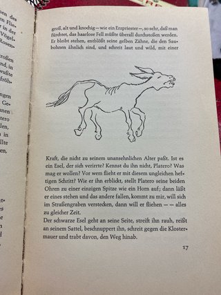 Libro Platero und Ich