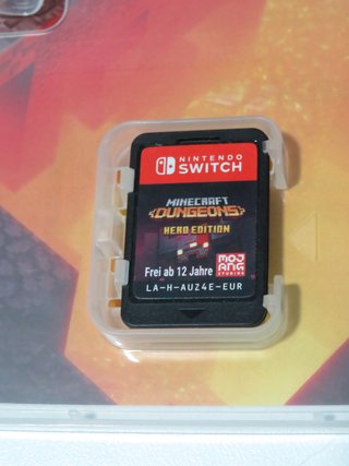 Minecraft Dungeons Hero Edition Switch
