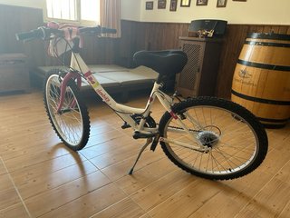 Bicicleta Niña Denbike