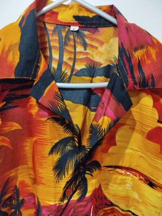 Camisa Hawaiana Estampada Palmeras Atardecer