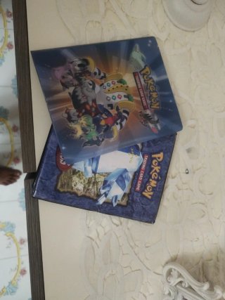 Album Carte Pokemon Trading Card Game