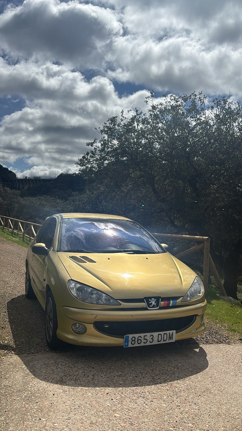 Peugeot 206 2004 - foto 1