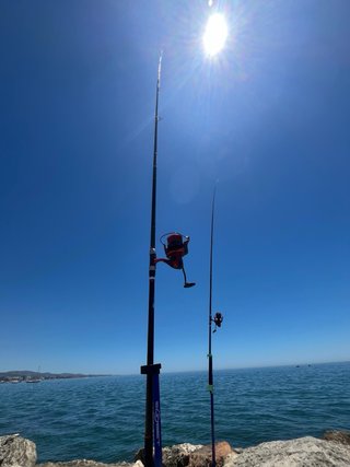 Kit Pesca Vercelli Surfcasting Cañas y Accesorios