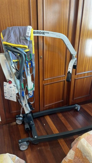 Grúa eléctrica de transferencia