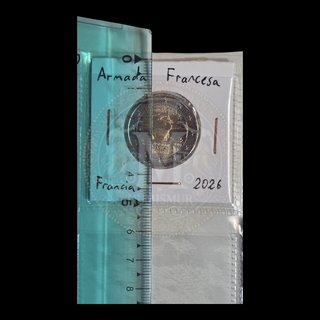 Pack 10 hojas Pardo monedas encartonadas 20 huecos