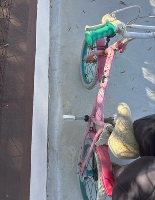 Bicicletta bambina rosa Minnie