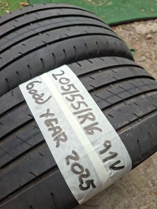 Neumáticos Goodyear 205/55R16 91V 2025