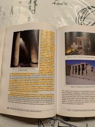 Historia del arte antiguo en Egipto y Próximo O...