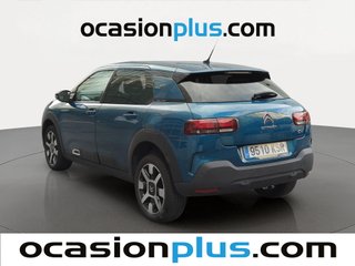 Citroen C4 Cactus BlueHDi 100 Shine 73 kW (100 CV)