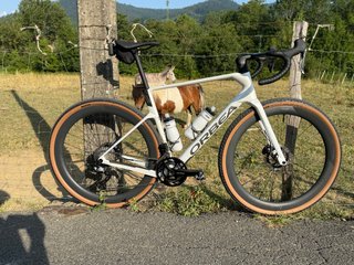 Orbea Terra M20i LTD Talla L gravel
