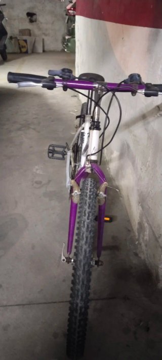 Bicicleta infantil morada