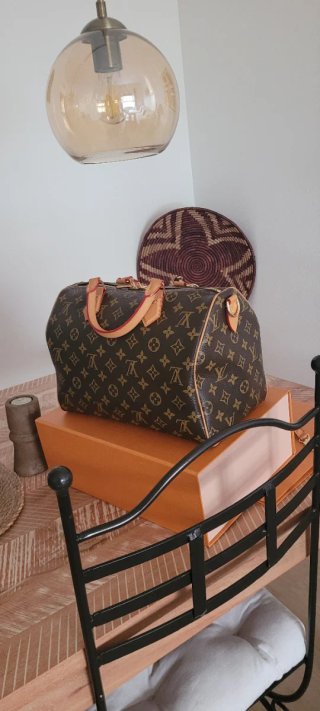 Bolso Louis Vuitton Speedy Marrón y Rojo