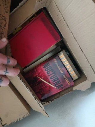 Lote de libros novela