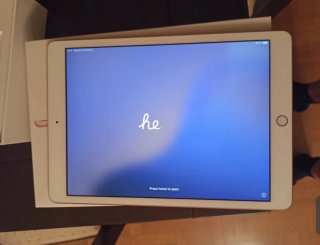 iPad 7 oro rosa