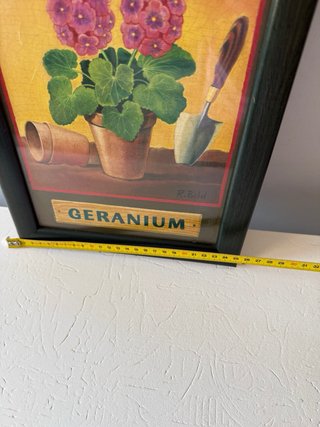 Cuadro de Geranios con Pala