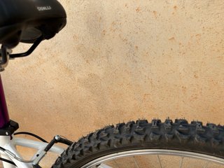 Bicicleta infantile 20 pollici